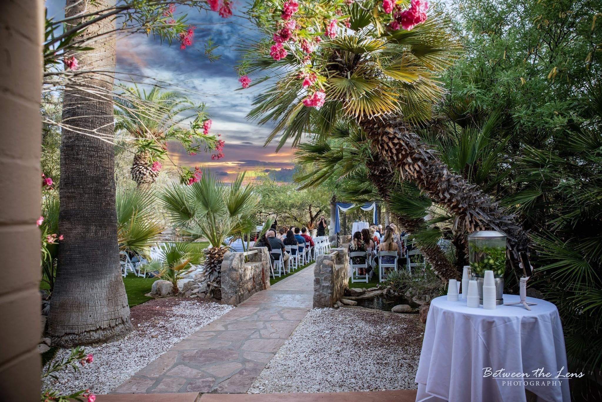 Wedding Altar, blooming flowers of the oasis